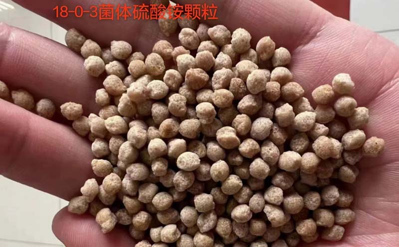 硫铵颗粒
