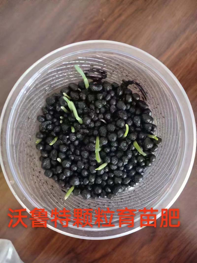 菌肥育苗