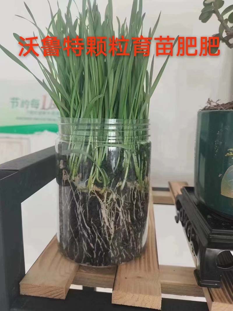菌肥育苗