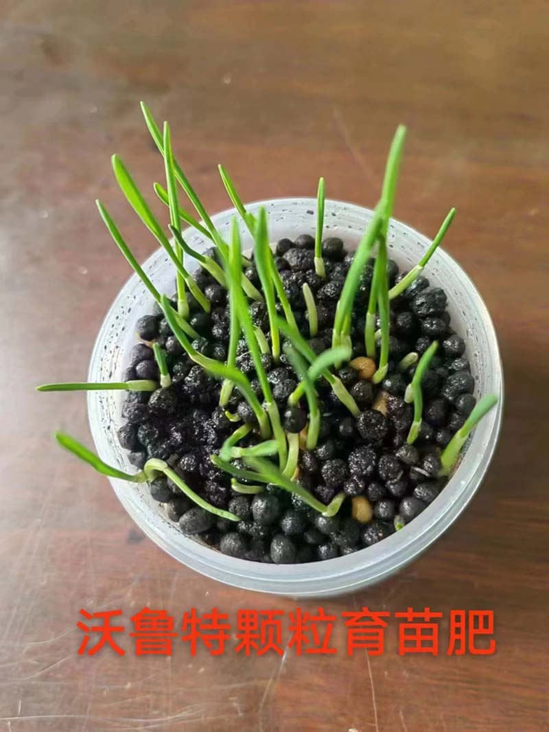 菌肥育苗