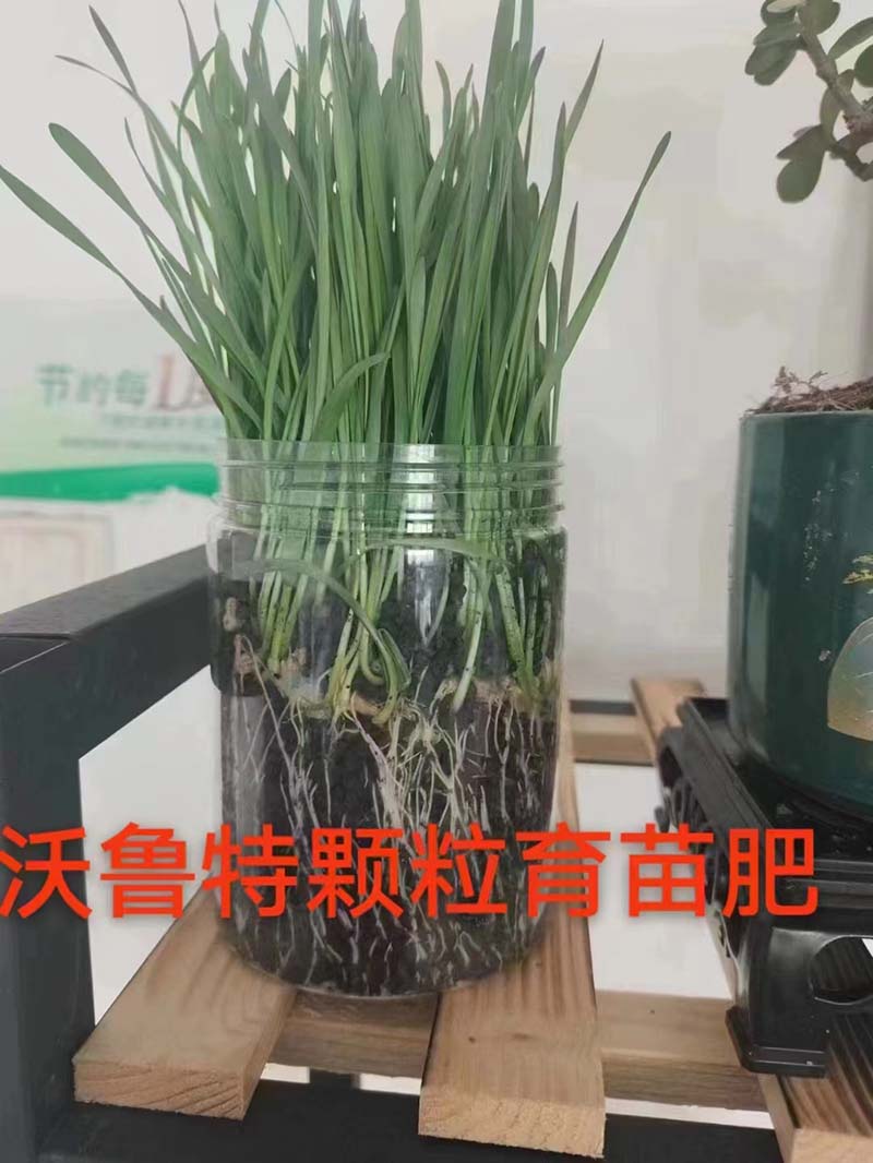 菌肥育苗