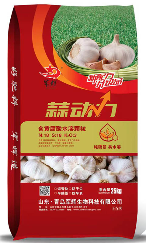 蒜动力